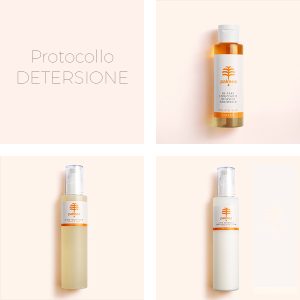 Protocollo Detersione