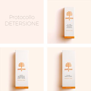 Protocollo Detersione