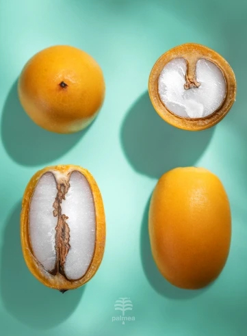 palmea eco bio cosmesi